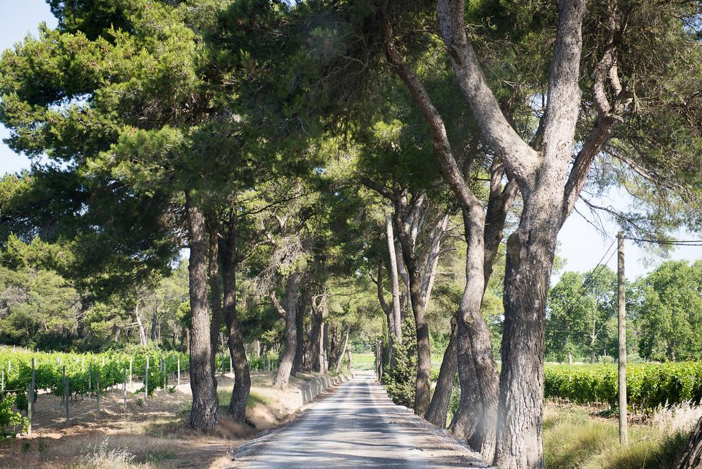 Chateau Canet Villa Rustiques Exterior foto