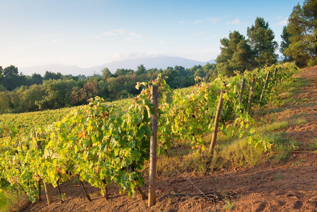 Chateau Canet Villa Rustiques Exterior foto