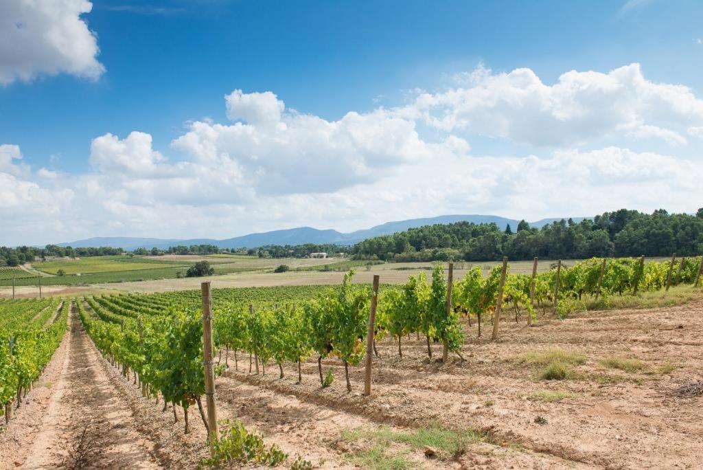 Chateau Canet Villa Rustiques Exterior foto